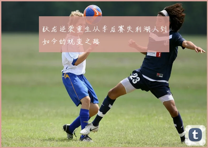 狄龙逆袭重生从季后赛失利湖人到如今的蜕变之路