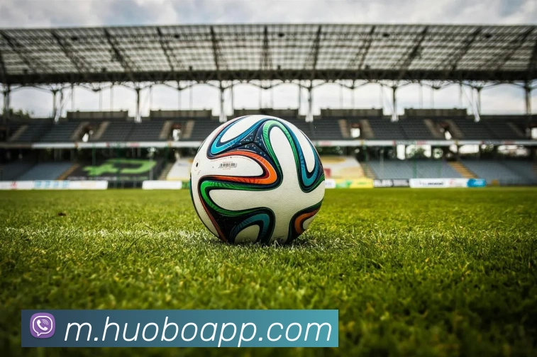 火博体育APP 封面图